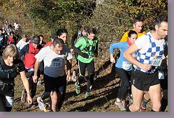IMG_8172 * 679 x 453 * (207KB)