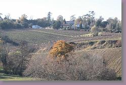 IMG_8247 * 679 x 453 * (157KB)