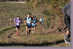 IMG_8262 * 679 x 453 * (222KB)