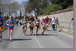 IMG_8427 * 680 x 453 * (185KB)